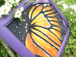 Monarch_Butterfl_52091ffb43641.jpg